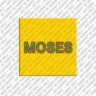 Magnet - MOSES