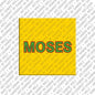 Magnet - MOSES