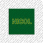 Magnet - NICOL
