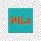 Magnet - NILS