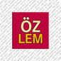 Magnet - ÖZLEM