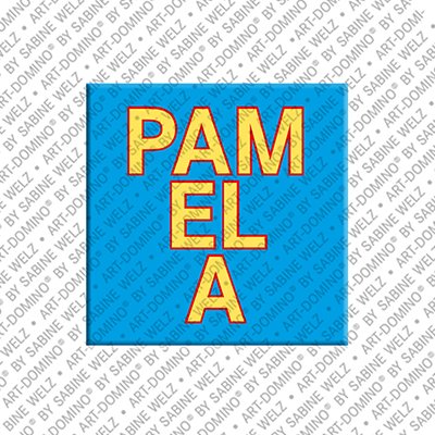 Magnet - PAMELA