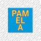 Magnet - PAMELA