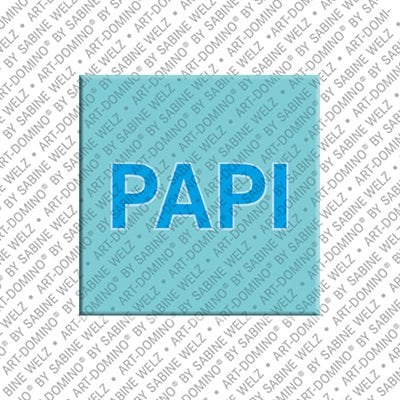 Magnet - PAPI