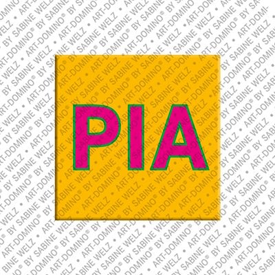 Magnet - PIA