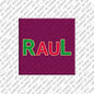Magnet - RAUL