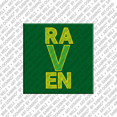 Aimant - RAVEN