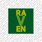 Magnet - RAVEN