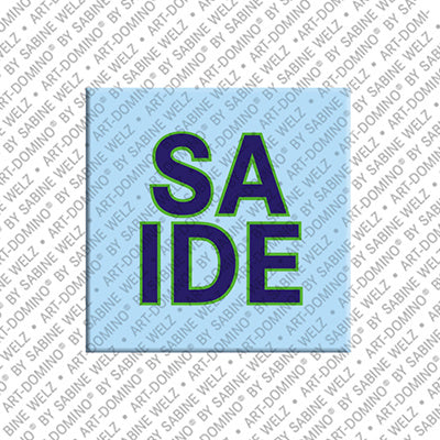 Magnet - SAIDE