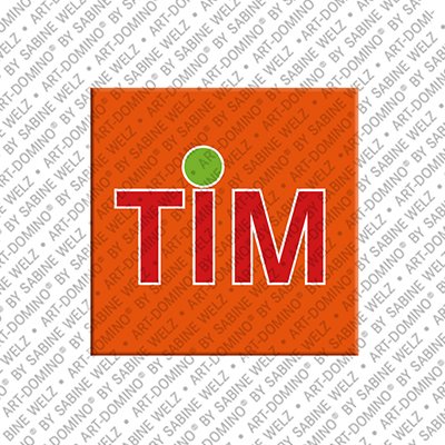 Magnet - TIM