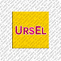 Magnet - URSEL