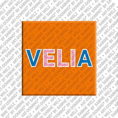 Magnet - VELIA